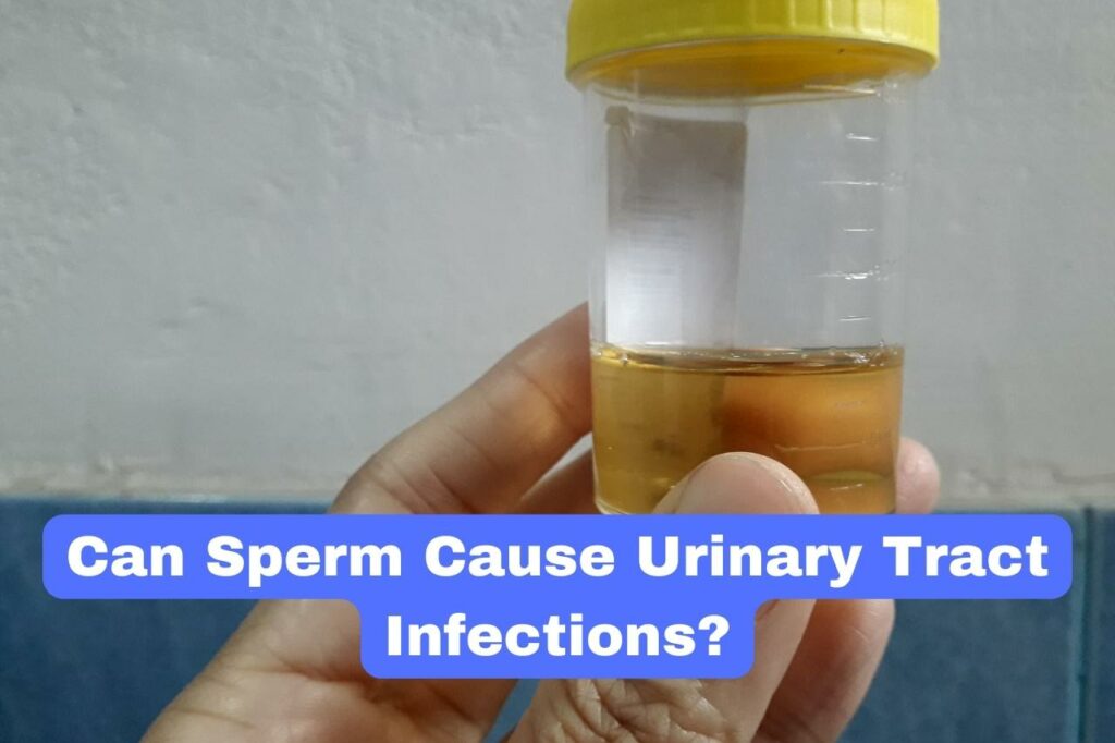 Can Sperm Cause Urinary Tract Infections?