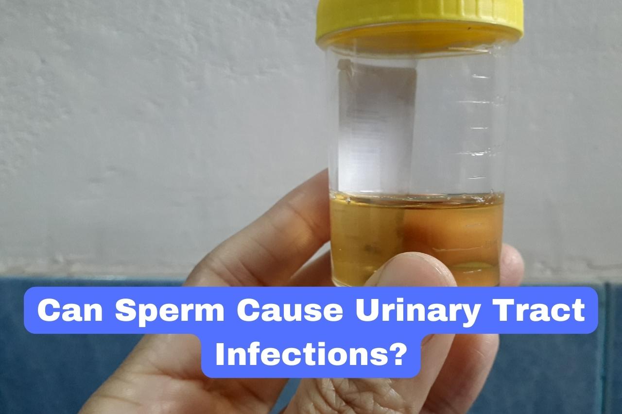 can-sperm-cause-urinary-tract-infections-elu-health